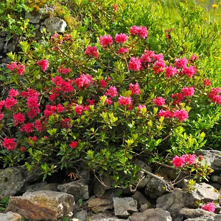 Apartment Bristol Apt-k By Interhome *