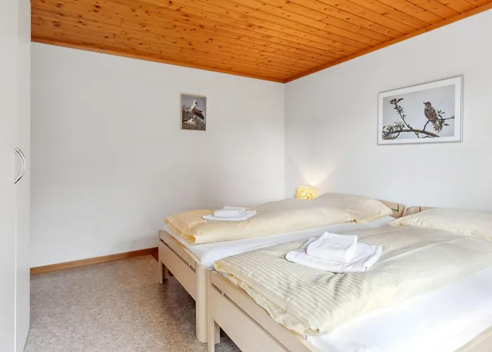 Bristol Apt-k By Interhome * Wengen