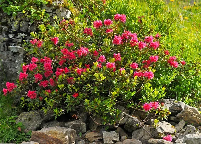 شقة Bristol Apt-k By Interhome *